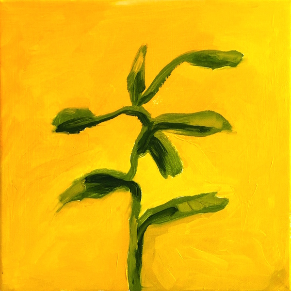 Plant Life HARRIET BELLOWS paintings oil on canvas, 2019