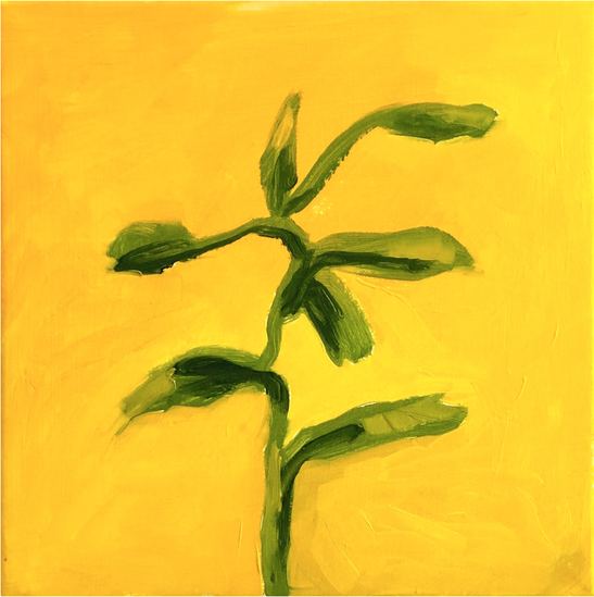 Plant Life HARRIET BELLOWS - PAINTER shop oil on canvas