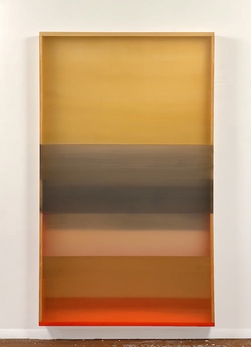 Down Under HEATHER HUTCHISON WORKS 2015-2020 Mixed media, reclaimed Plexiglas, birch plywood box