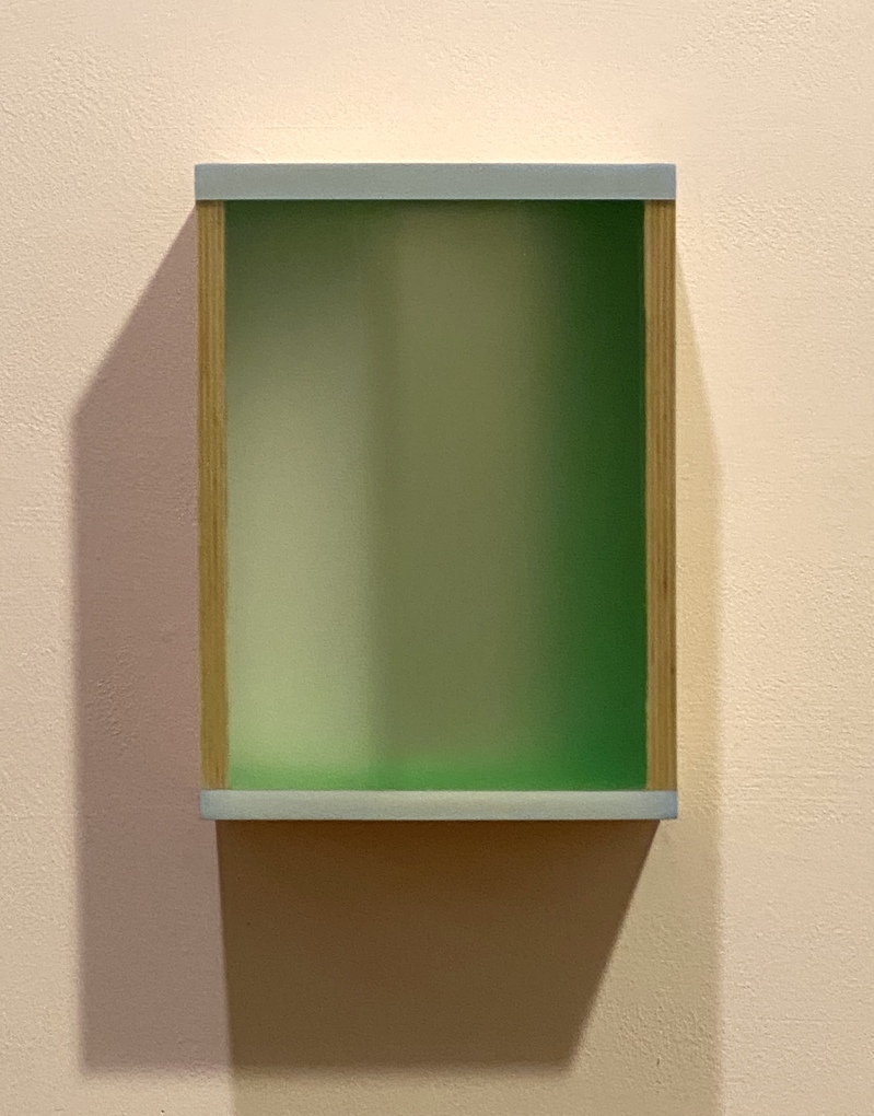 Promenade In Green HEATHER HUTCHISON WORKS 2015-2020 Mixed media, reclaimed Plexiglas, birch plywood box