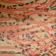 workshop image Gallery Silkscreen onto encaustic