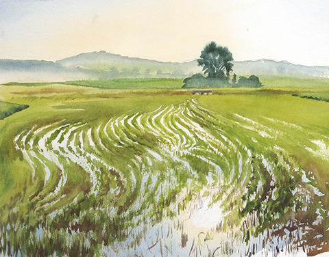 The Flooded Field Hulsey Trusty Studios Watercolors Watercolor