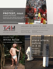 Jaime Scholnick Protest, noun @Torrance Art Museum Jan 19-March 9, 2019 