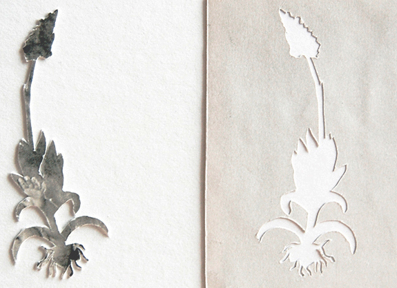Italian Flowers #2 Jane Deering Gallery Elizabeth Alexander Collaged photogravure print