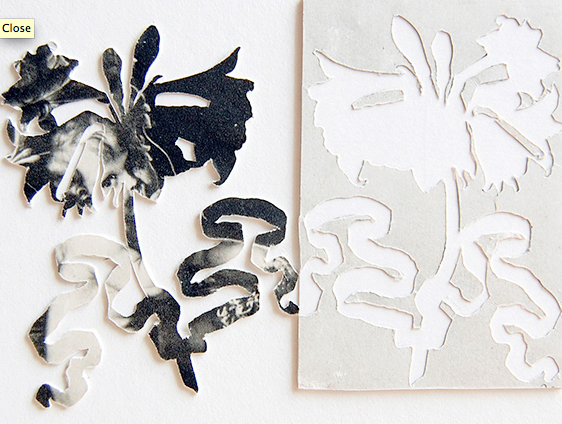 Italian Flowers #6 Jane Deering Gallery Elizabeth Alexander Collaged photogravure print
