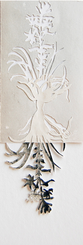 Italian Flowers #3 Jane Deering Gallery Elizabeth Alexander Collaged photogravure print
