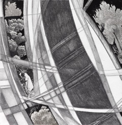 Project 100 : #4 Jane Deering Gallery Ann Diener Graphite, prismacolor, gouache, digital prints and cut paper on paper