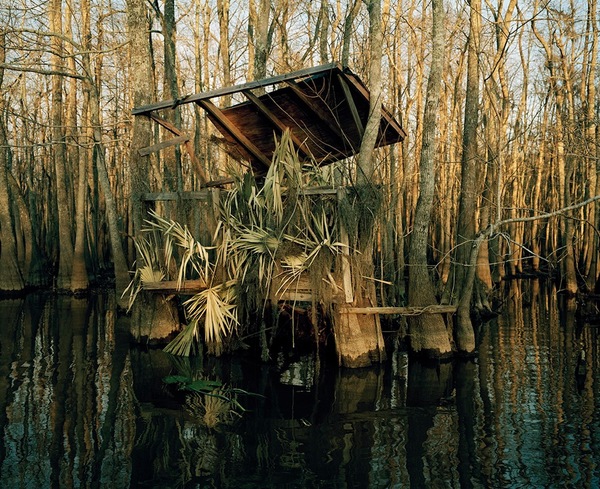 Berry Bay Jane Deering Gallery Exhibition: Beauty, the affordable Archival Pigment Print