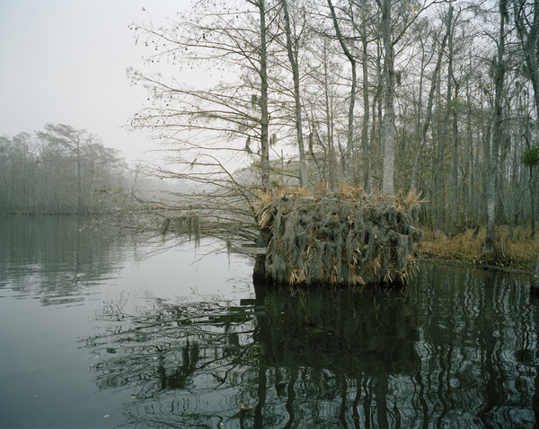Dan's Bay I Jane Deering Gallery Exhibition: Beauty, the affordable Archival Pigment Print