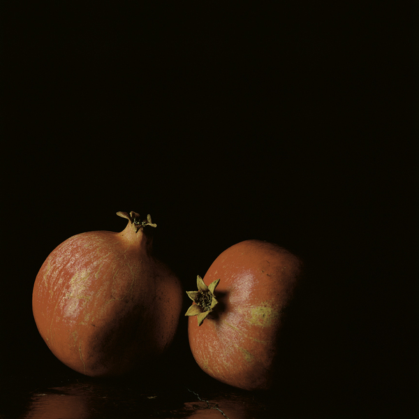 End of Autumn . Untitled #3 Jane Deering Gallery Paul Cary Goldberg Iris Print