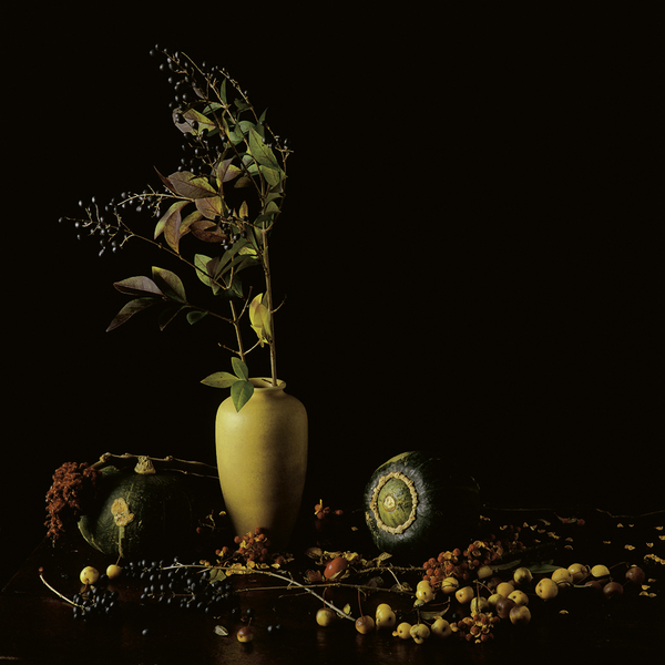 End of Autumn . Untitled #1 Jane Deering Gallery Paul Cary Goldberg Iris Print