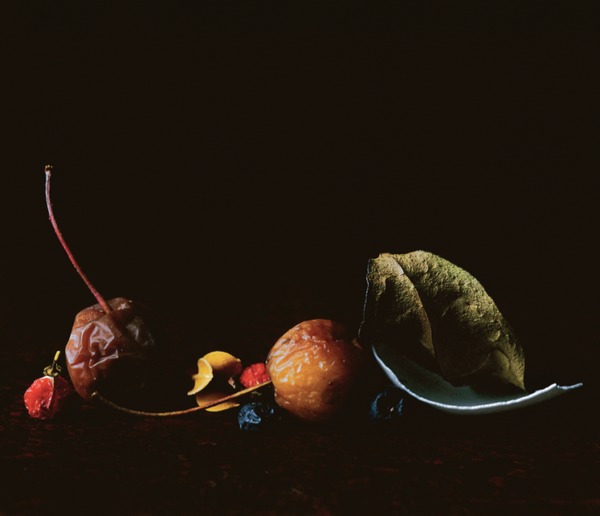 End of Autumn . Untitled #9 Jane Deering Gallery Paul Cary Goldberg Iris Print