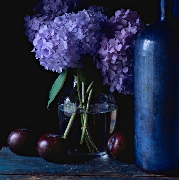 Still Life with Hydrangea and Plums Jane Deering Gallery Paul Cary Goldberg Archival Pigment Print