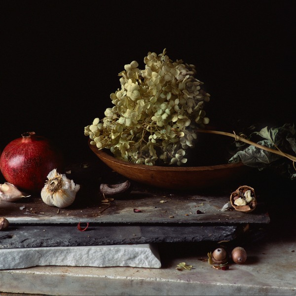 Still Life with Pomegranate, Garlic, Hydrangea and Nuts Jane Deering Gallery Paul Cary Goldberg Archival Pigment Print