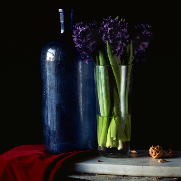 Still LIfe with Hyacinth and Walnut Jane Deering Gallery Paul Cary Goldberg Archival Pigment Print