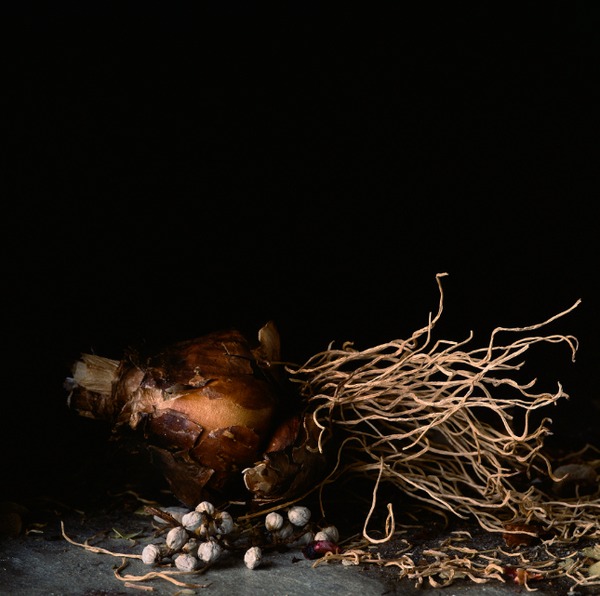 Still Life with Aged Garlic Jane Deering Gallery Paul Cary Goldberg Archival Pigment Print