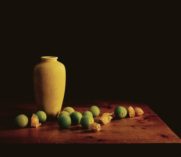 Les Fruits de Charlevoix Jane Deering Gallery Paul Cary Goldberg Iris Print