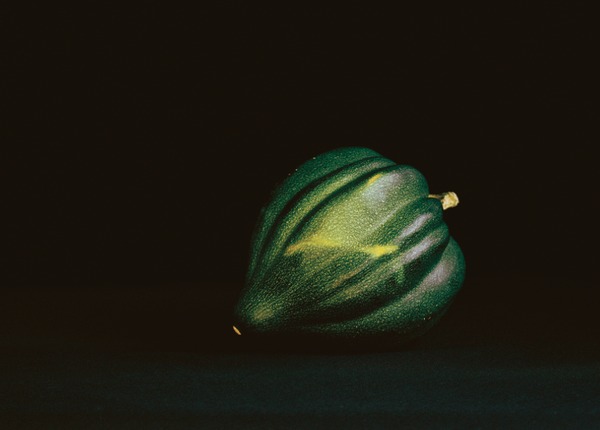Portrait of the Artist as Acorn Squash Jane Deering Gallery Paul Cary Goldberg Iris Print