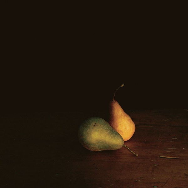 Two Pears Jane Deering Gallery Paul Cary Goldberg Iris Print