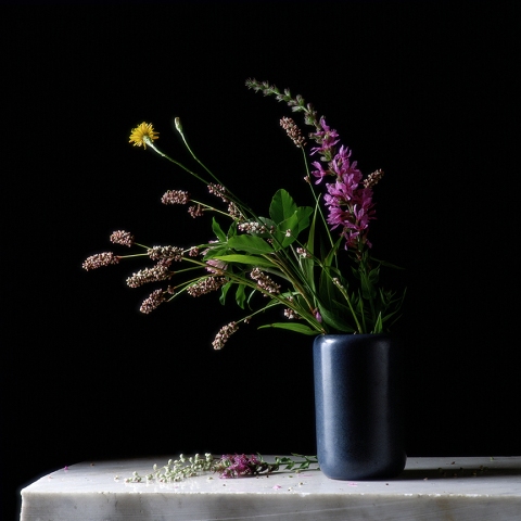 Blue Pottery with Mixed Bouquet Jane Deering Gallery Paul Cary Goldberg Archival pigment print