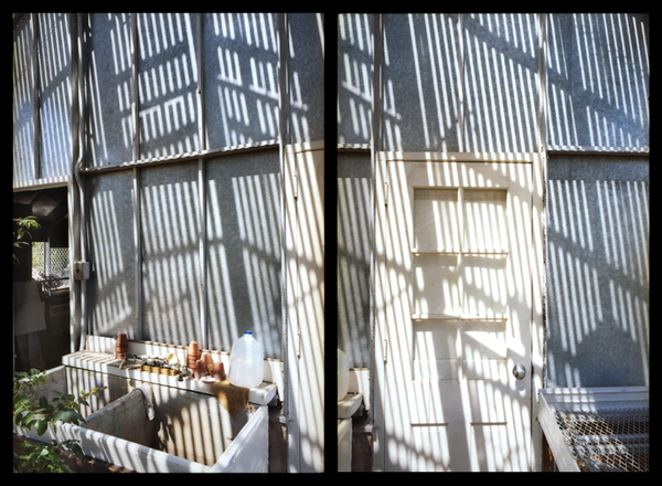 Reynolda Greenhouse, Winston-Salem, NC Jane Deering Gallery Exhibition: A light runs through it Archival Pigment Print