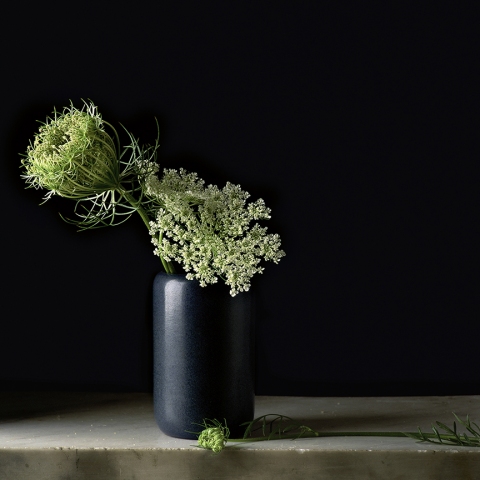 Blue Pottery with Queen Anne's Lace Jane Deering Gallery Paul Cary Goldberg Archival pigment print