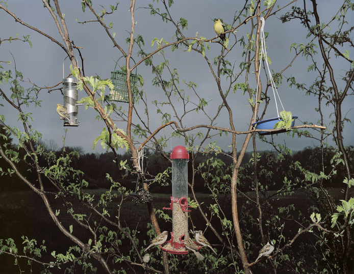 Sustenance 101 Jane Deering Gallery Neeta Madahar : Sustenance series Iris Print on Somerset Velvet Paper