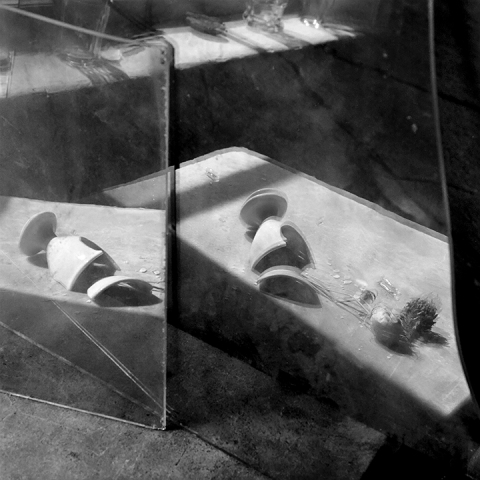 Recent Reflections #6 Jane Deering Gallery Paul Cary Goldberg Platinum print