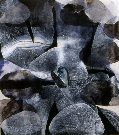 Shell, sitting still #4 Jane Deering Gallery Points of View: Michael Porter | Chris Pullman Gouache and PVA on paper