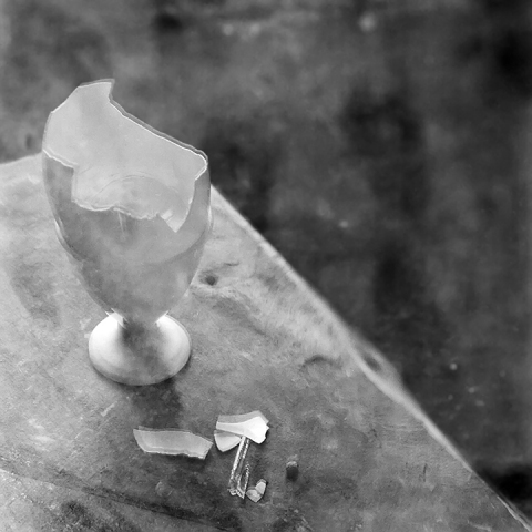 Recent Reflections #7 Jane Deering Gallery Paul Cary Goldberg Platinum print
