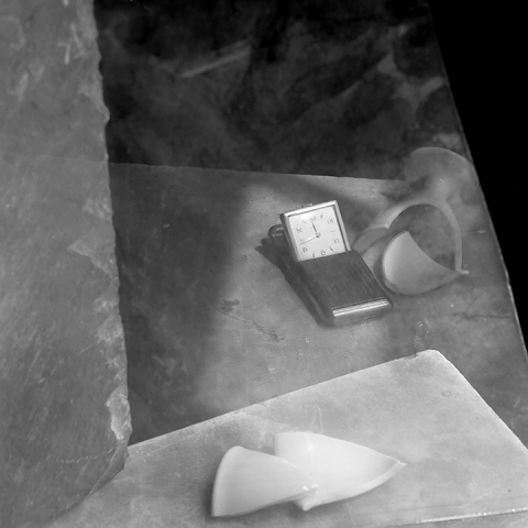 Recent Reflections #9 Jane Deering Gallery Paul Cary Goldberg Platinum print