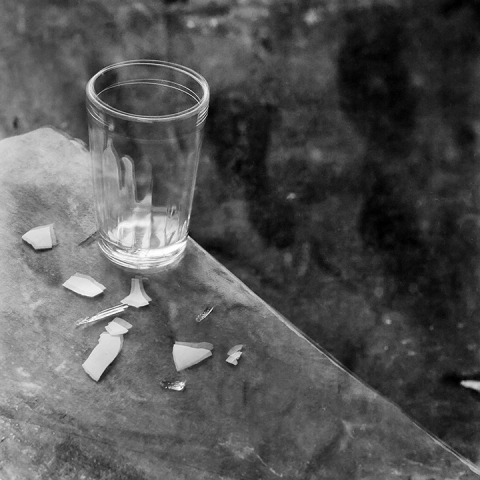 Recent Reflections #11 Jane Deering Gallery Paul Cary Goldberg Platinum print