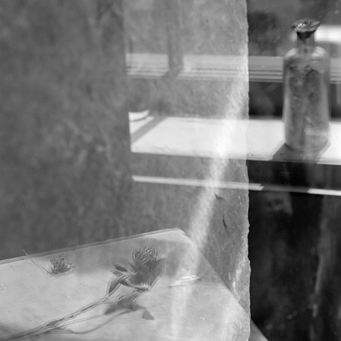 Recent Reflections #15 Jane Deering Gallery Paul Cary Goldberg Platinum print