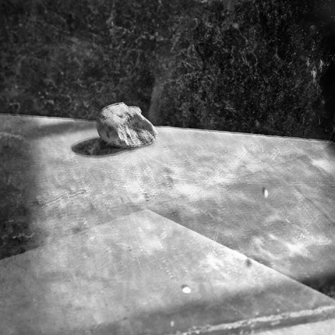 Recent Reflections #19 Jane Deering Gallery Paul Cary Goldberg Platinum print