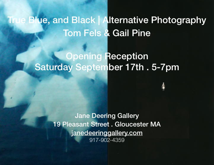 True Blue, and Black | Alternative Photography : Tom Fels & Gail Pine Jane Deering Gallery True Blue, and Black | Alternative Photography : Tom Fels & Gail Pine Cyanotypes and Gelatin Silver Prints
