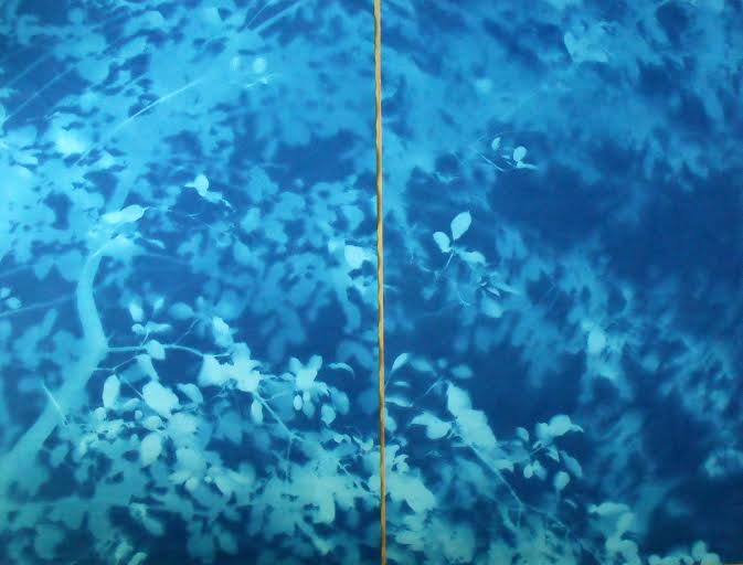 Arbor Jane Deering Gallery True Blue, and Black | Alternative Photography : Tom Fels & Gail Pine Cyanotype