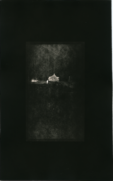 A Twofold Silence Jane Deering Gallery True Blue, and Black | Alternative Photography : Tom Fels & Gail Pine Gelatin Silver Print, Edition 2/3
