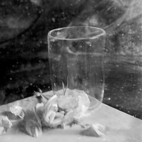 Recent Reflections #24 Jane Deering Gallery Paul Cary Goldberg Platinum print