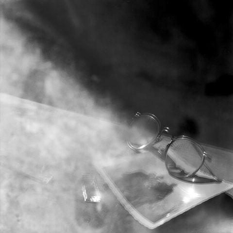 Recent Reflections #25 Jane Deering Gallery Paul Cary Goldberg Platinum print