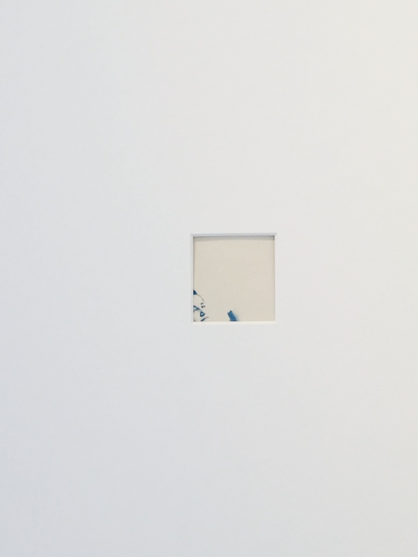 Installation shot . Exhibition 'True Blue, and Black | Alternative Photography : Tom Fels & Gail Pine Jane Deering Gallery True Blue, and Black | Alternative Photography : Tom Fels & Gail Pine cyanotype