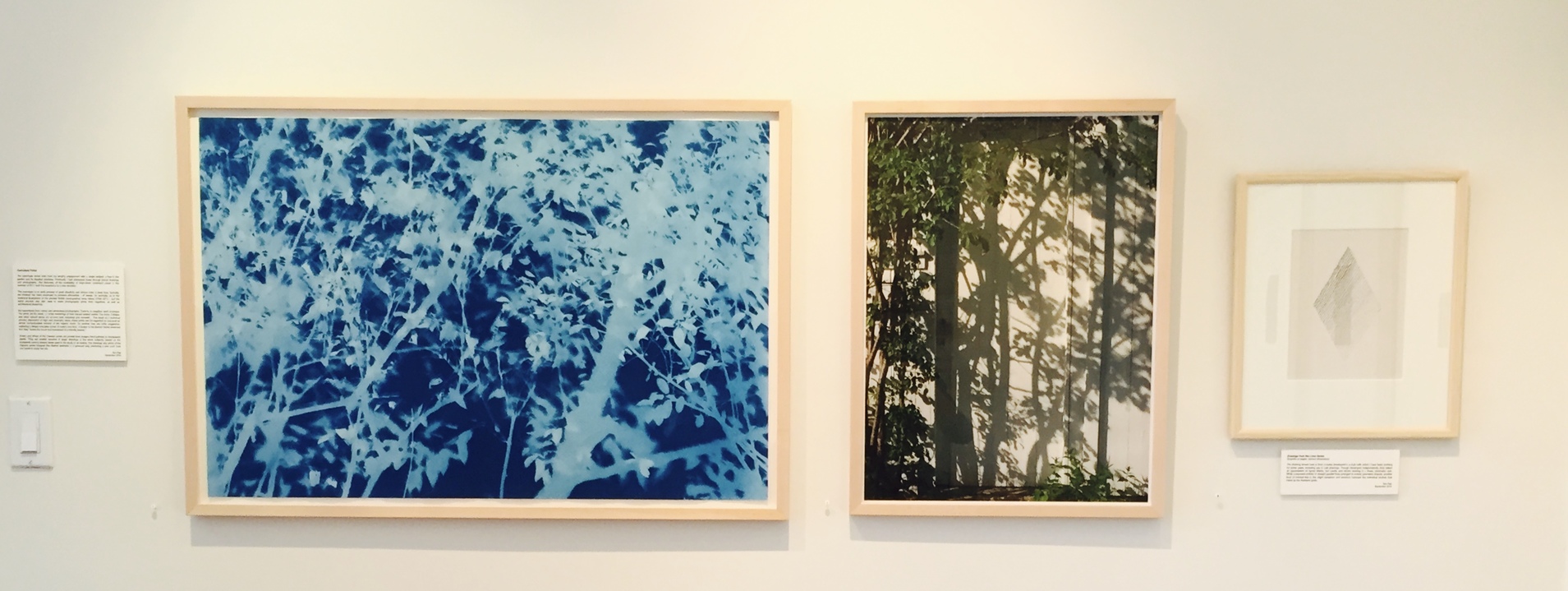 Installation shot . Exhibition 'True Blue, and Black | Alternative Photography : Tom Fels & Gail Pine Jane Deering Gallery True Blue, and Black | Alternative Photography : Tom Fels & Gail Pine cyanotype . digital photograph . graphite drawing