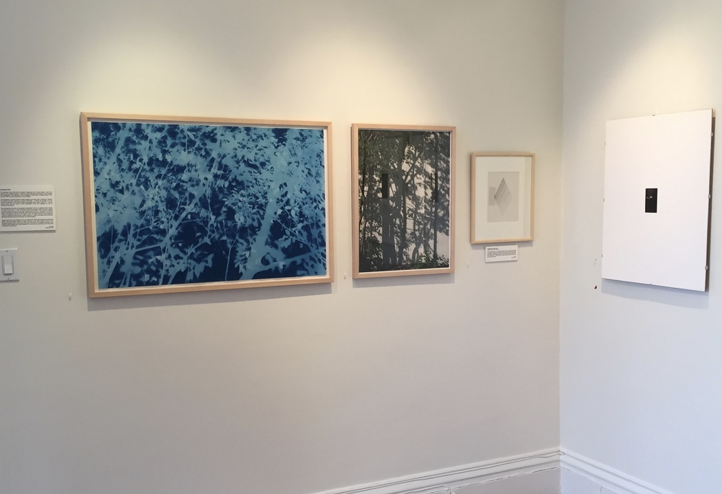 Installation shot . Exhibition 'True Blue, and Black | Alternative Photography : Tom Fels & Gail Pine Jane Deering Gallery True Blue, and Black | Alternative Photography : Tom Fels & Gail Pine