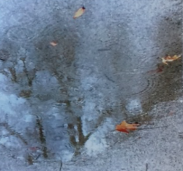 Trees Jane Deering Gallery Mothers and Daughters Digital image