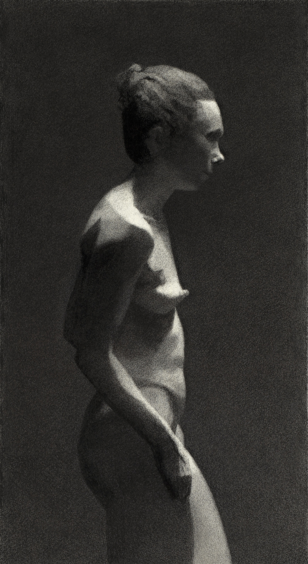 Academic Figure Study (detail) Jane Deering Gallery Drawn from Life Charcoal on Roma handmade paper