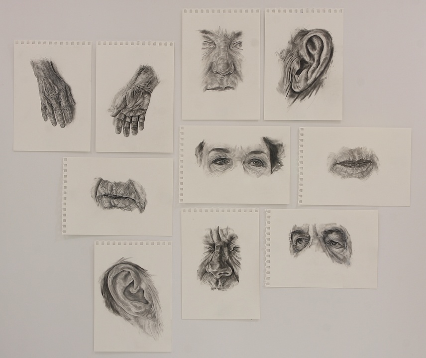 Jane Deering Gallery Drawn from Life Jane Deering Gallery Drawn from Life