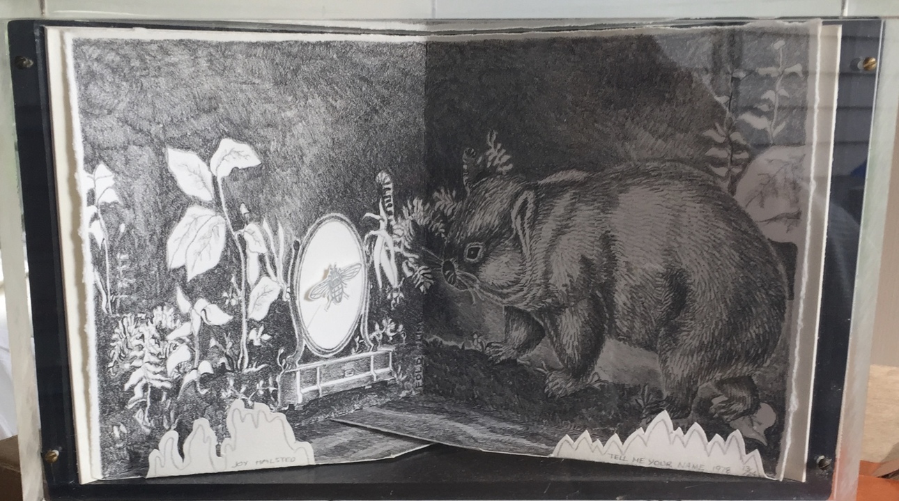 Tell Me Your Name Jane Deering Gallery Joy Halsted | In and Out of the Box Lithography, wood, lucite box