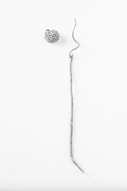 Here Still # Jane Deering Gallery Silver and Grey | Leslie Lewis Sigler & Paul Cary Goldberg Digital print