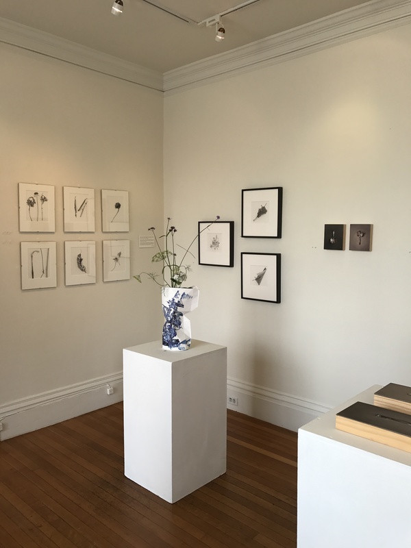 Installation shot Jane Deering Gallery Silver and Grey | Leslie Lewis Sigler & Paul Cary Goldberg