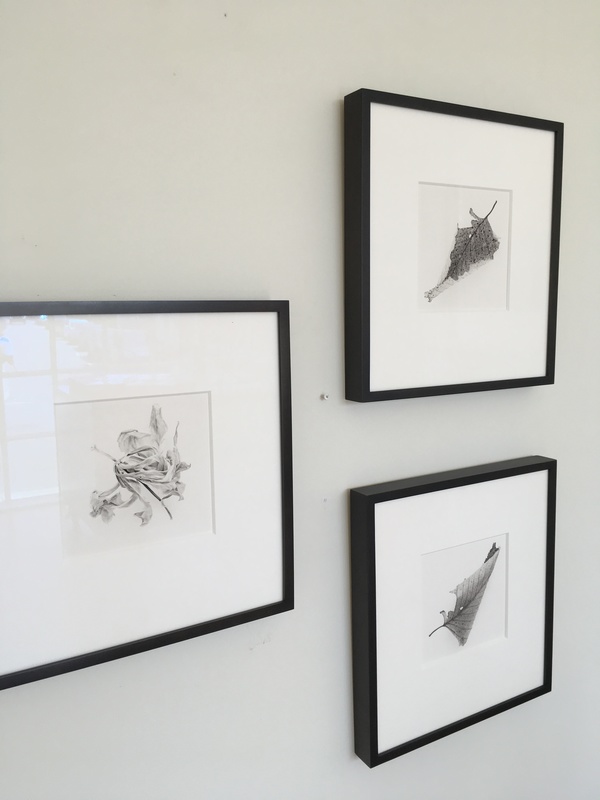 Installation shot Jane Deering Gallery Silver and Grey | Leslie Lewis Sigler & Paul Cary Goldberg