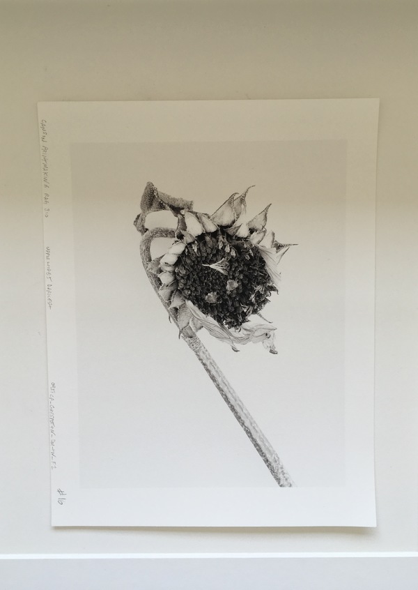 Installation shot Jane Deering Gallery Silver and Grey | Leslie Lewis Sigler & Paul Cary Goldberg